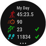 Ceas Garmin Quantix 5 Standard Titanium/Blue