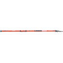 Telescopica Bolognese Carbon 5.00M 5G