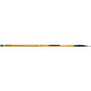 Carbon Pole 6M 25g