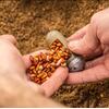 Momitor Guru Window Feeder Medium 50g+60