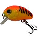 Baby Pro 2.5cm 2G 999