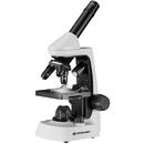 Optic Junior 40X-2000X