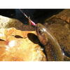 Lingurita rotativa Smith Ltd. AR-S Spinner Trout 4.5g 04 RSBK