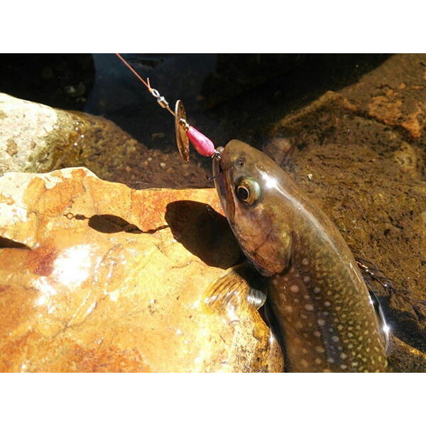 Lingurita rotativa Smith Ltd. AR-S Spinner Trout 4.5g 04 RSBK