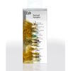 Set Muste Daiwa Damsels 11buc