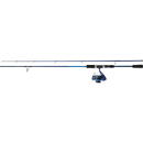 Set Daiwa D'Wave 2.10m 14-42g D'Wave 2500 190m 0.25mm