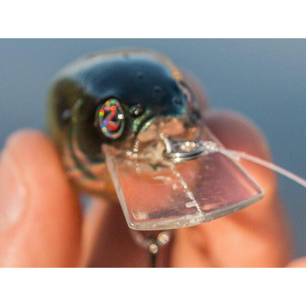 Vobler River2Sea Biggie 67 6.7cm 16g Chrome Black 44 F